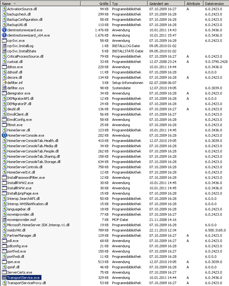 C:\Programme\Windows Home Server auf dem Server