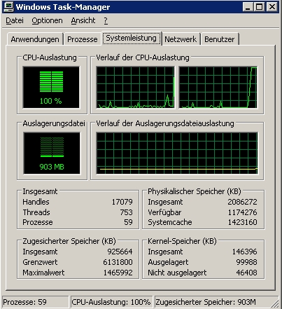 Aussetzer mit 100%CPU