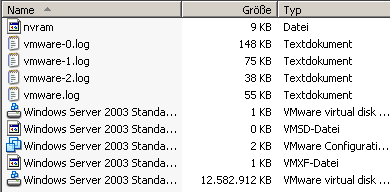 VM Files