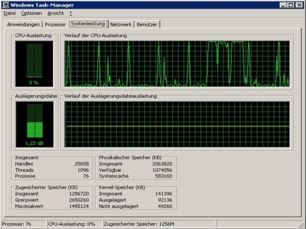 CPU Auslastung...