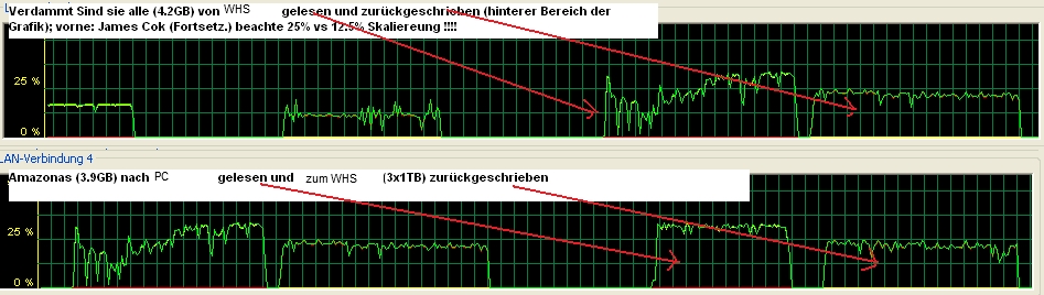 Übliches LesesSchreibverhalten vom WHS 3x1TB
