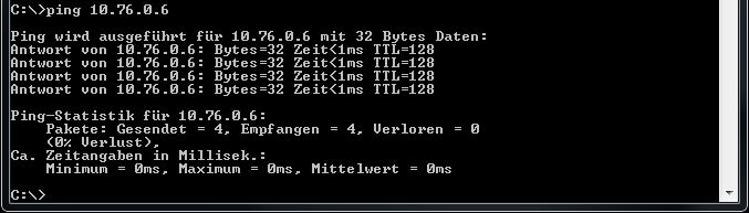 ping 10.76.0.6.jpg