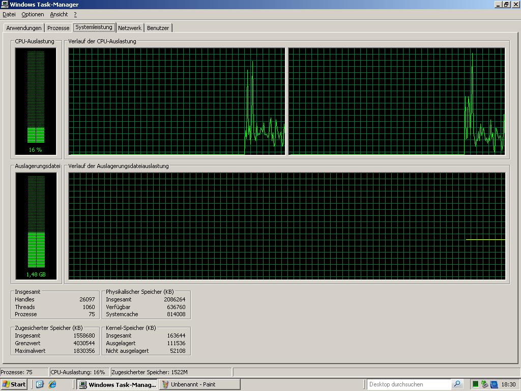 whs-screenshot-121014_07_TaskMan-Systemleistung nach ca. 4.5Std.JPG