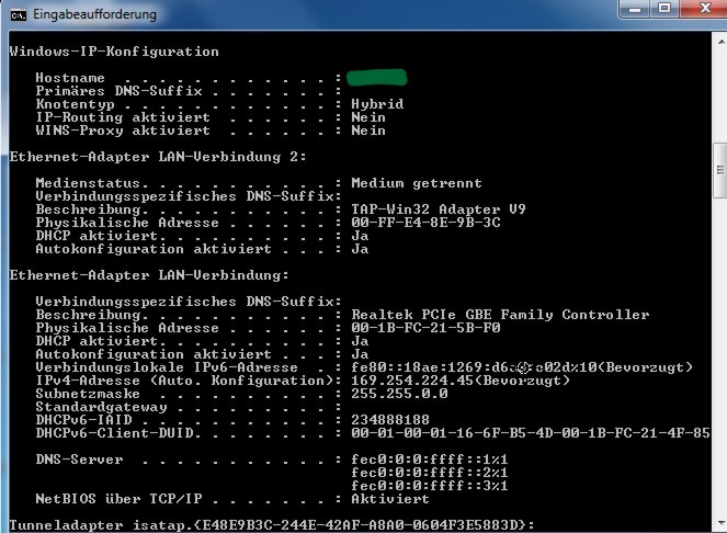 ipconfig_switch-ohne-netzwerkanschluss.jpg